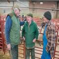 Sheep show and sale (18)